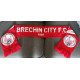 Brechin City FC Red Scarf